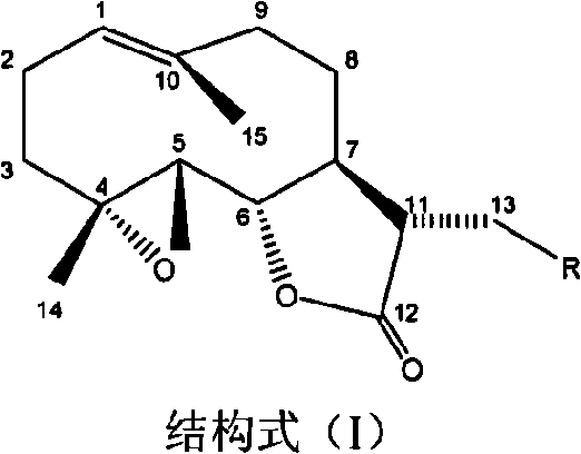 Process for synthesizing parthenolide derivative and uses thereof