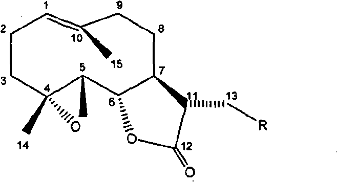 Process for synthesizing parthenolide derivative and uses thereof