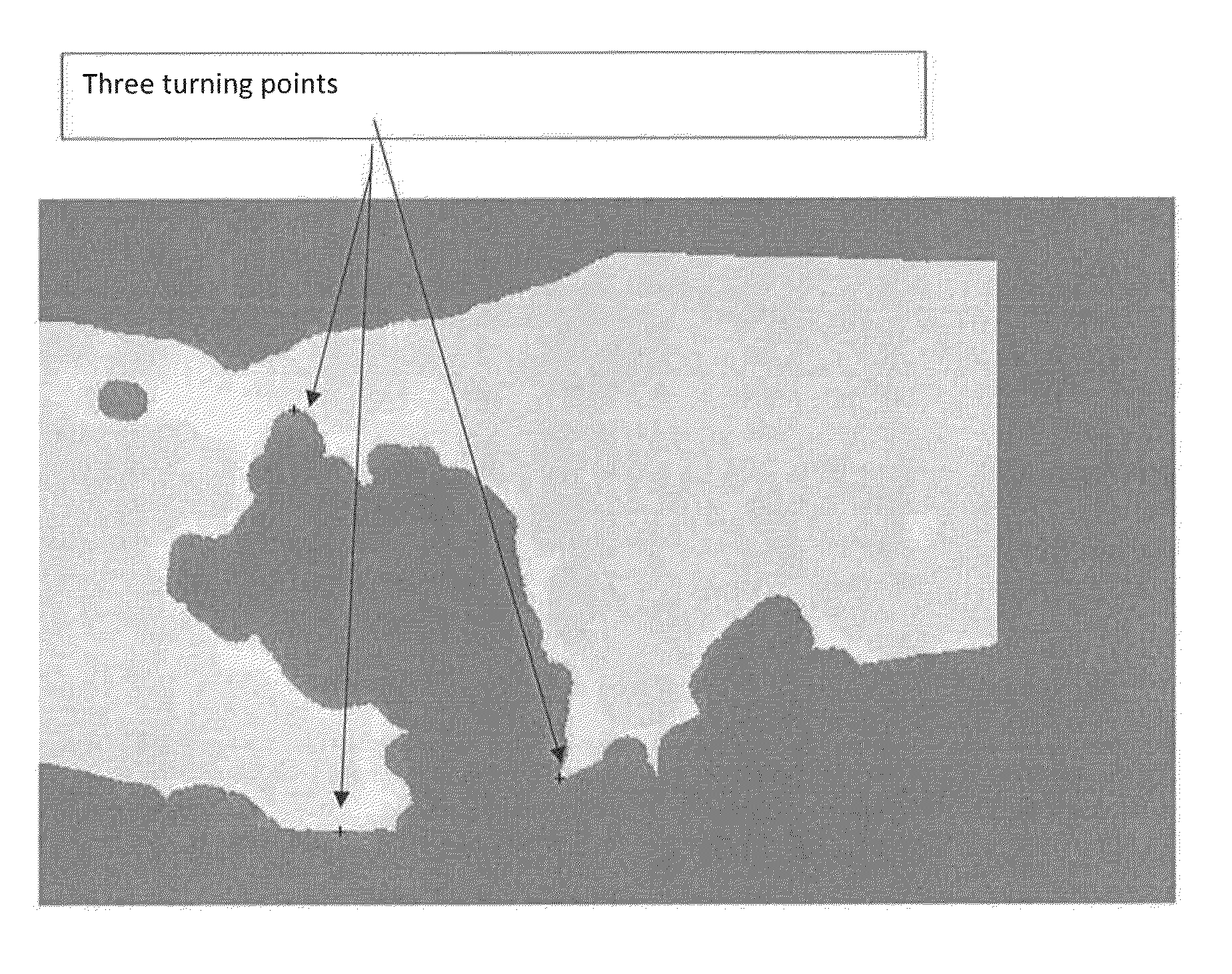 System and method for assessing wound