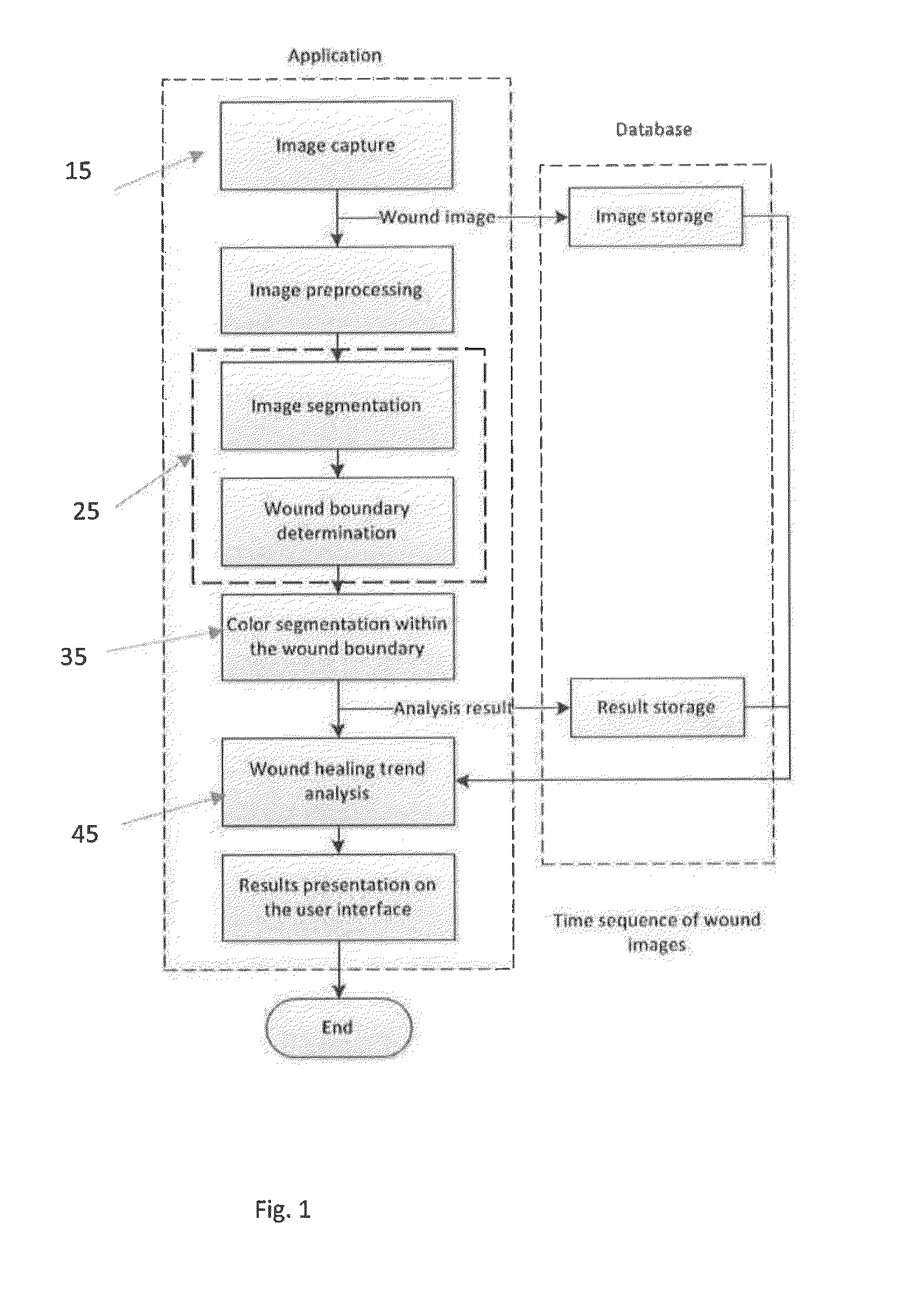 System and method for assessing wound