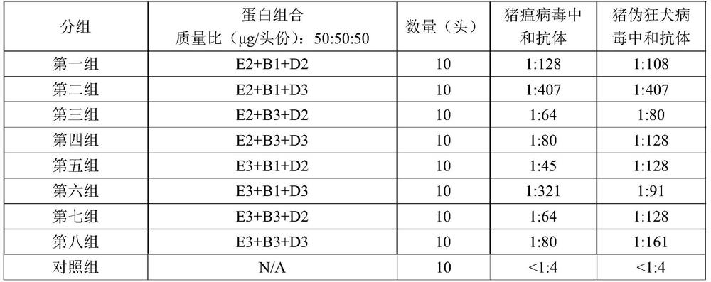 Swine fever and porcine pseudorabies virus bivalent subunit vaccine and preparation method thereof