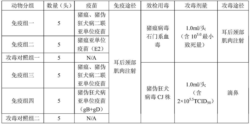 Swine fever and porcine pseudorabies virus bivalent subunit vaccine and preparation method thereof