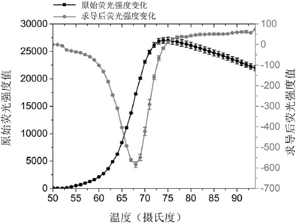 Primer-type nucleic acid fluorescent probe subjected to two-way strand displacement