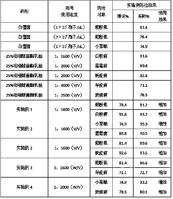 High-efficiency insecticide and fungicide containing Beauveria bassiana and pyraclostrobin and its application