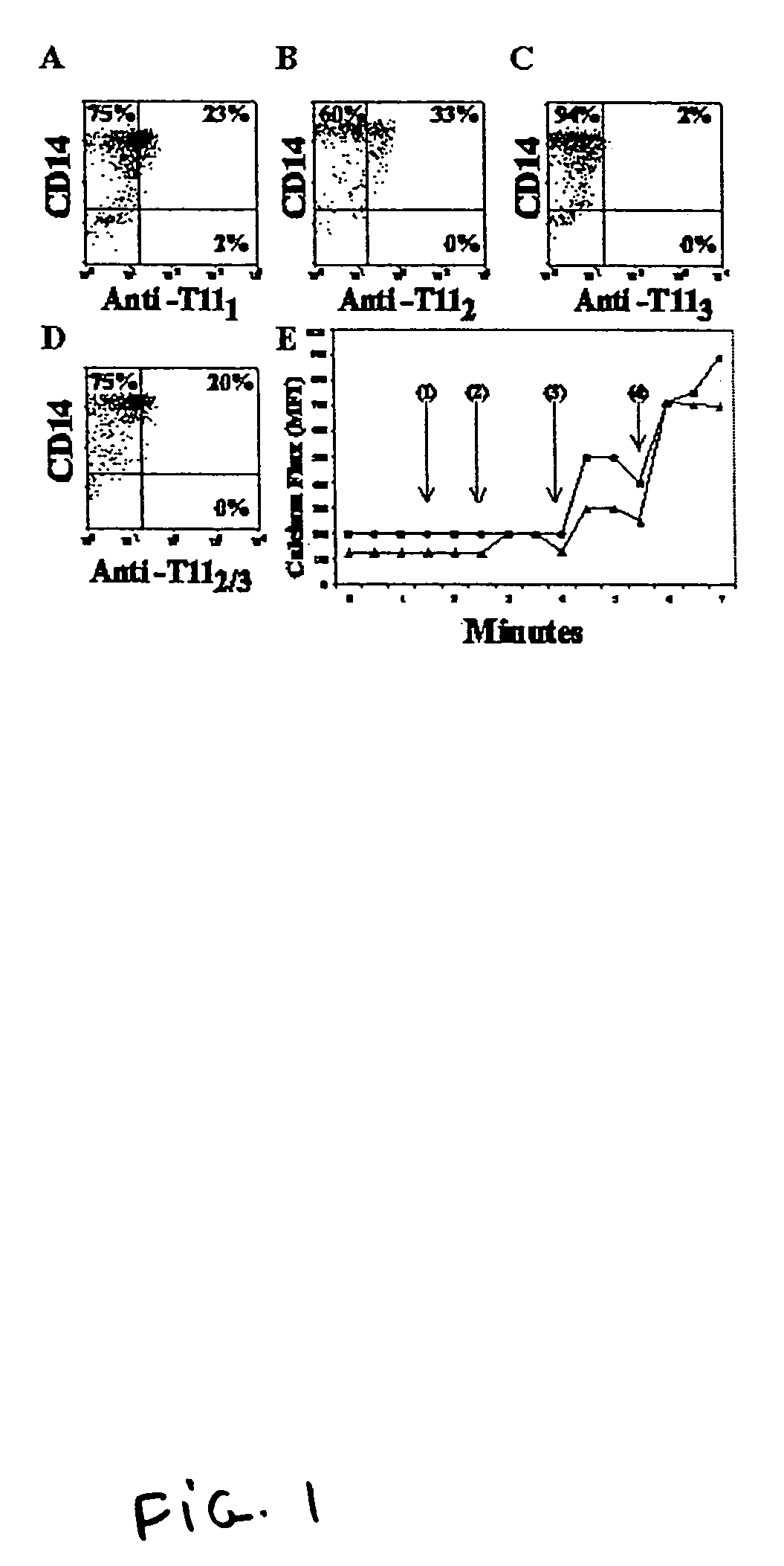 Purification and uses of dendritic cells and monocytes