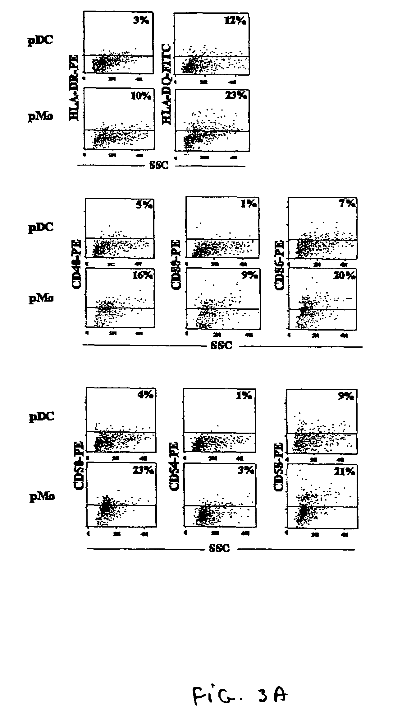 Purification and uses of dendritic cells and monocytes