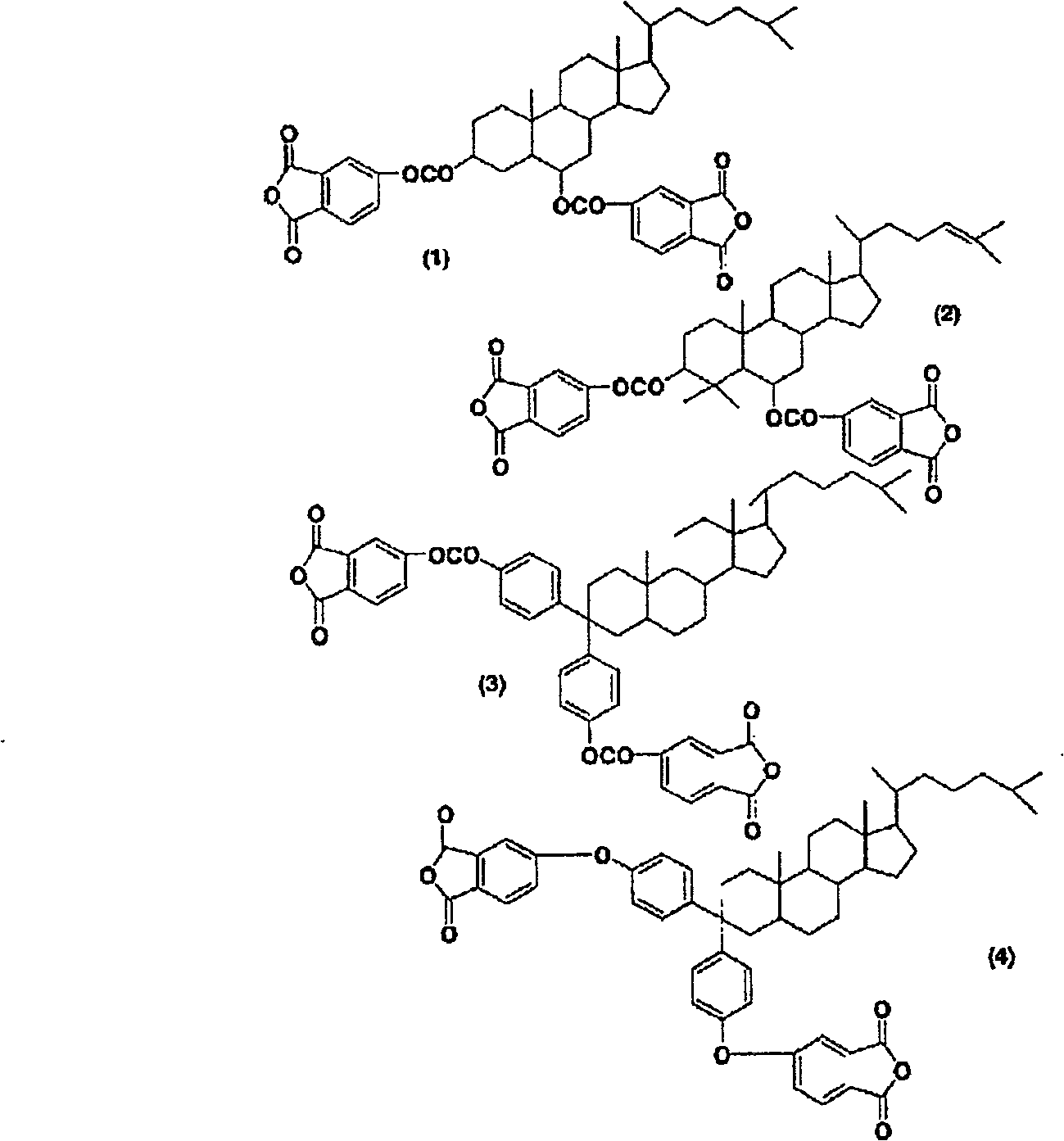 Liquid crystal orientating agent and liquid crystal display element