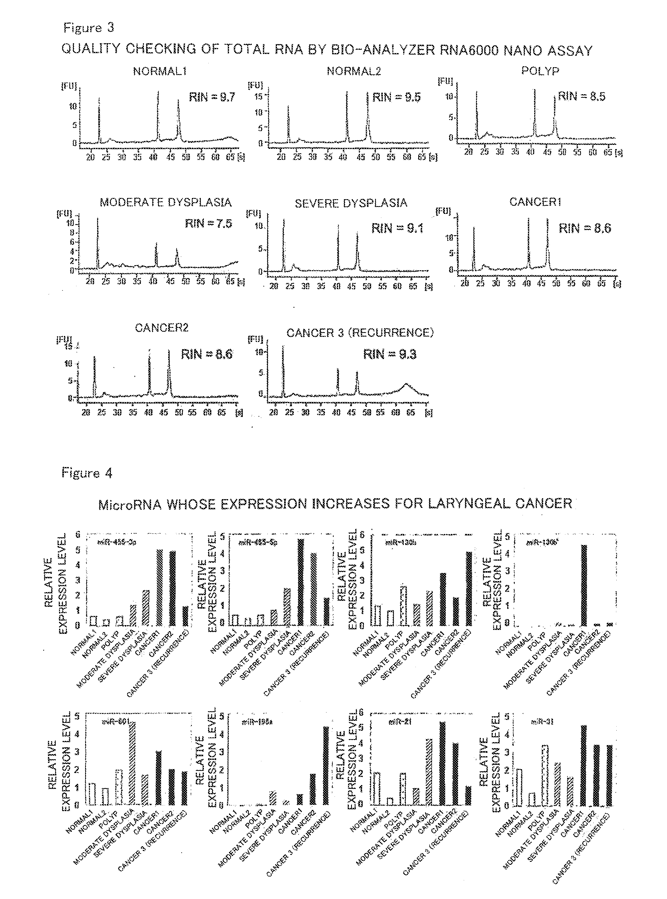 Diagnosis/Treatment Option for Head-and-Neck Tumor Using Micro-RNA as Biomarker