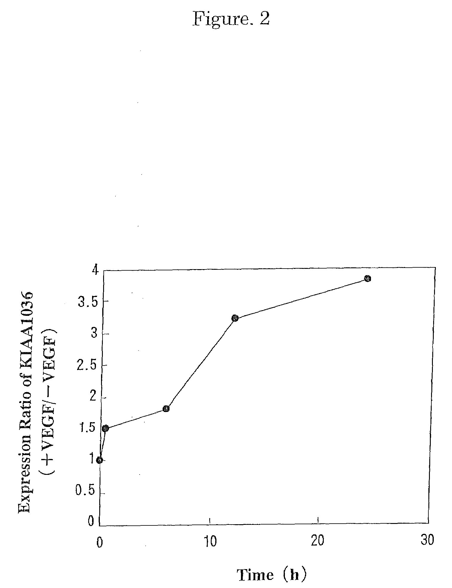 Polypeptide and DNA thereof useful as a neovascular marker