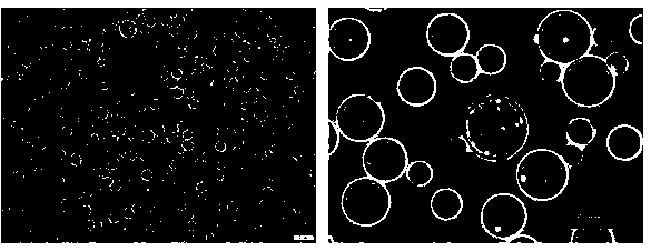 Metal organic coordination polymer coated natural sericin microsphere as well as preparation method and application thereof