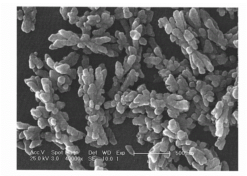 Preparation method of bowknot-shaped europium-doped sodium tetrafluoro gadolinium red luminescent nano material