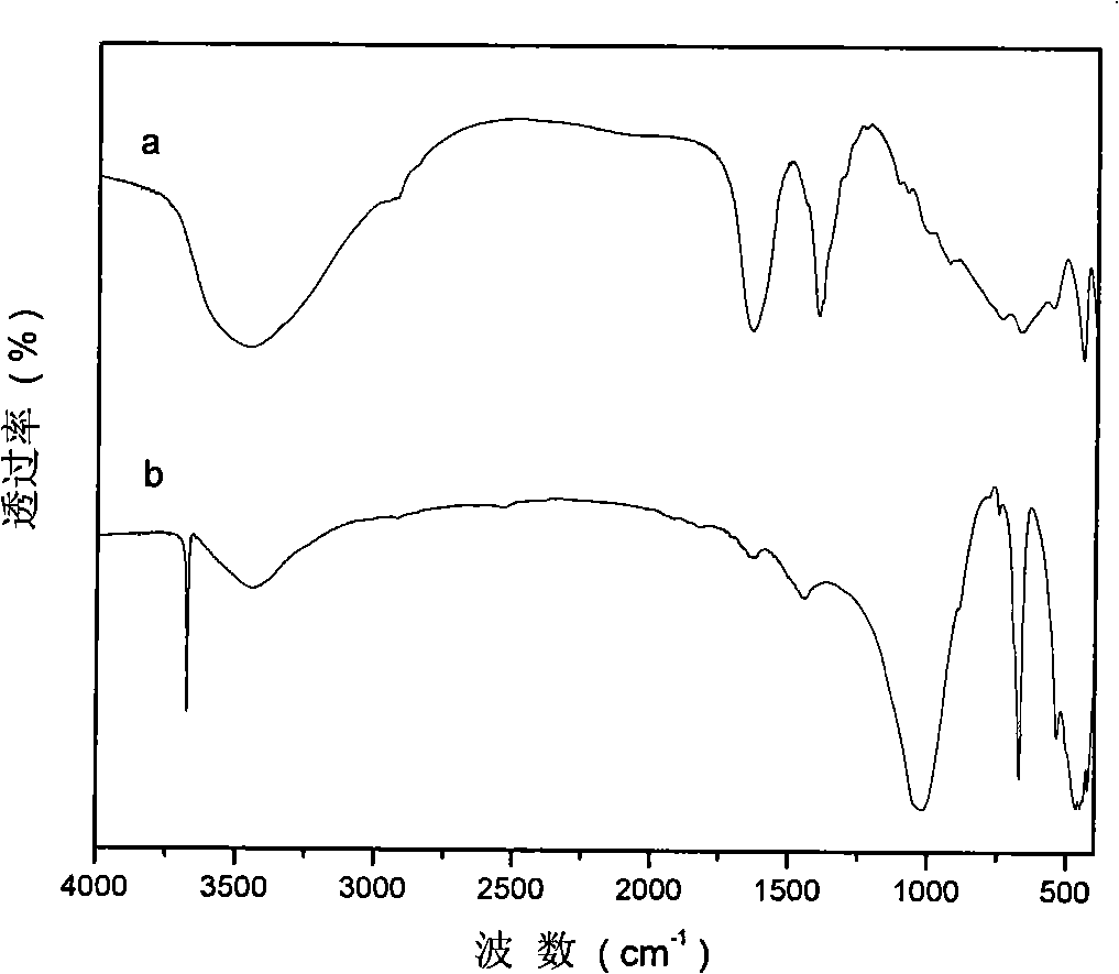 Selective infrared absorption material of aminodiacetic acid intercalation structure and method for preparing same