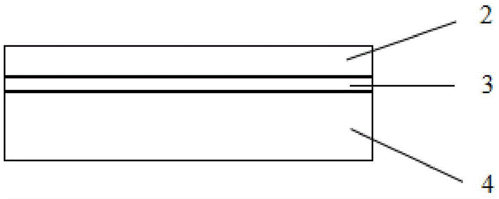 Three-dimensional molding device and method based on film substrate