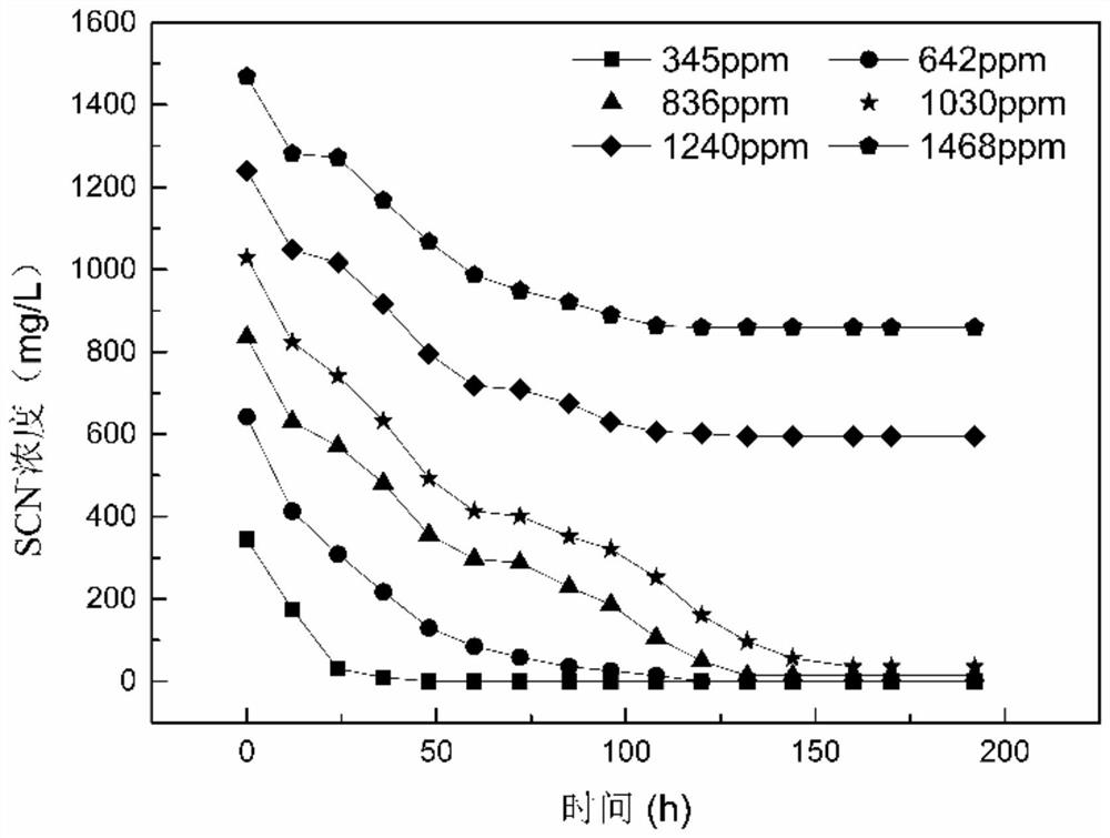 High-arsenic-resistance thiocyanide degrading strain and application thereof