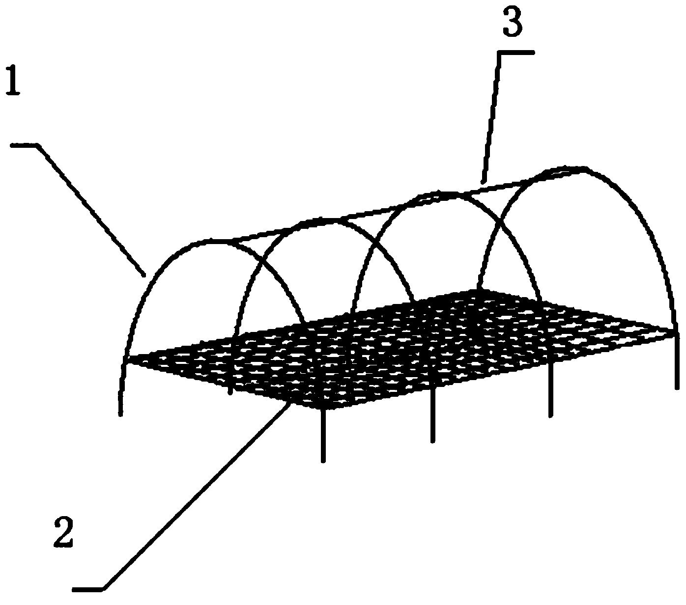 Gobi airing method of corn seed production fresh ears