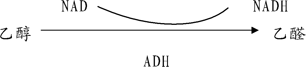 Antialcoholismic composition and preparation method thereof