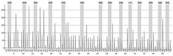 Use of a map3k10 gene fragment and primers in the preparation of intracranial aneurysm detection kits