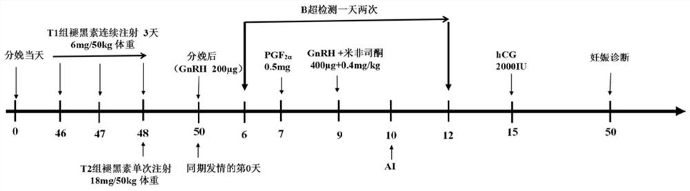 Treatment method for improving effect of synchronous oestrus and timed insemination of buffalo in summer