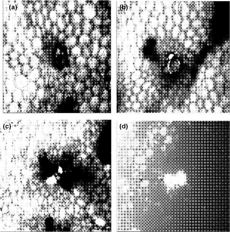 Biosorption material, preparation method and purpose thereof