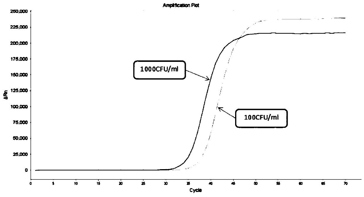 Freeze-drying protection system required for nucleic acid amplification reagent and preparation method of freeze-drying protection system