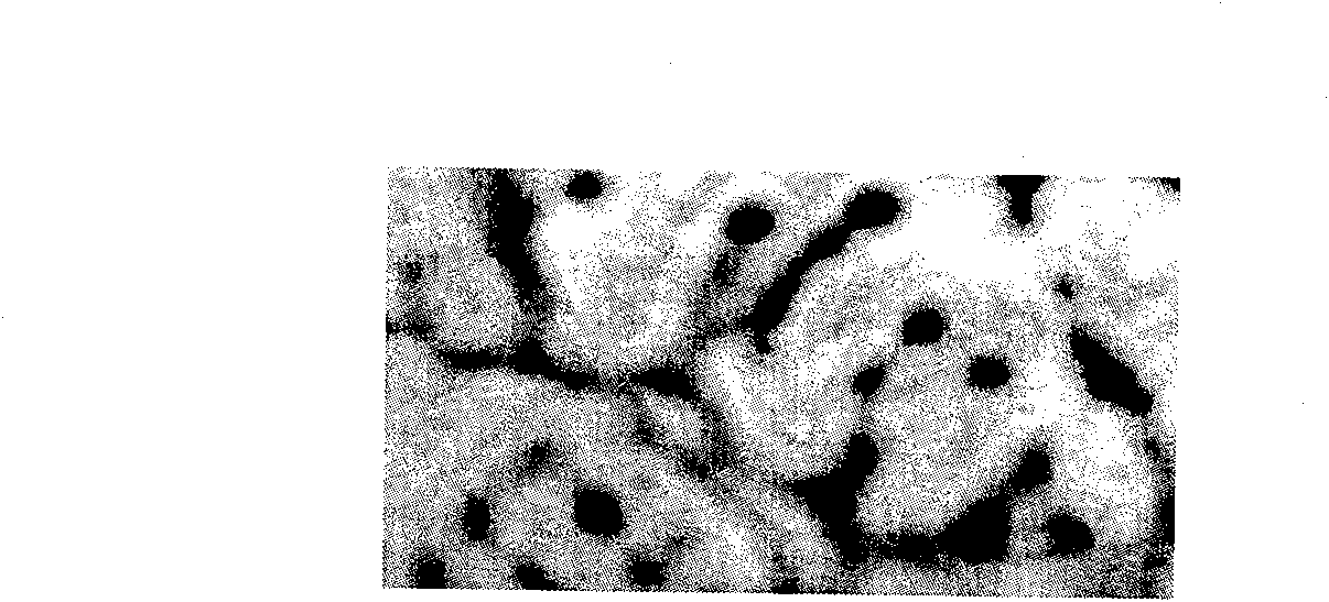 Heat resistant magnesium alloy and composite material containing heat resistant magnesium alloy and its preparation method