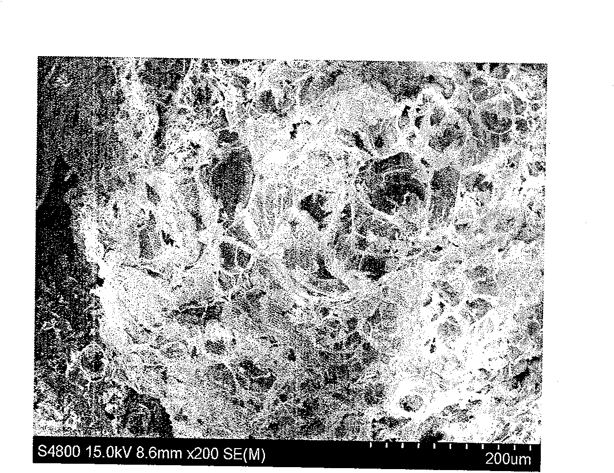 Heat resistant magnesium alloy and composite material containing heat resistant magnesium alloy and its preparation method