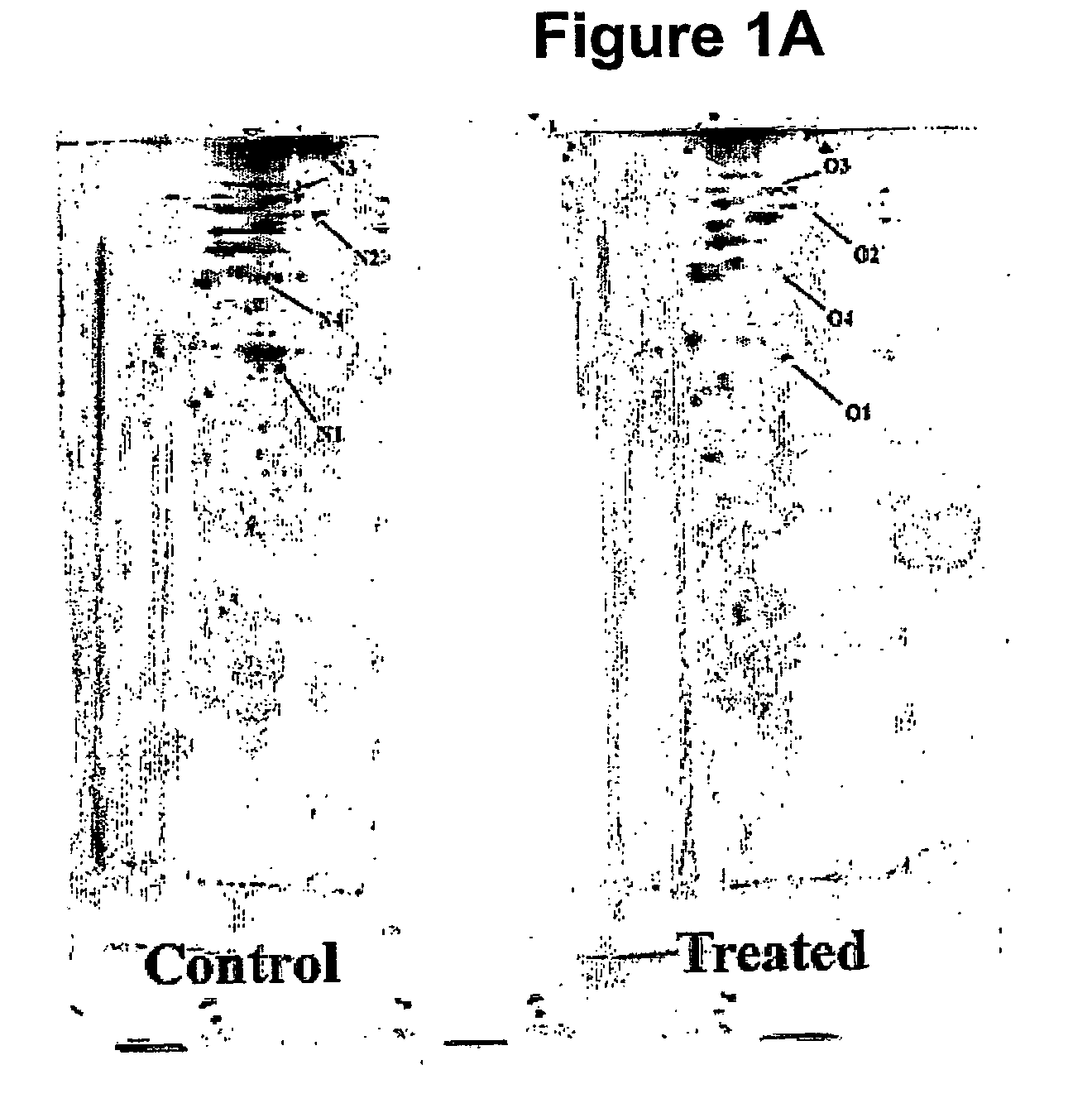 Methods for determining the redox status of proteins