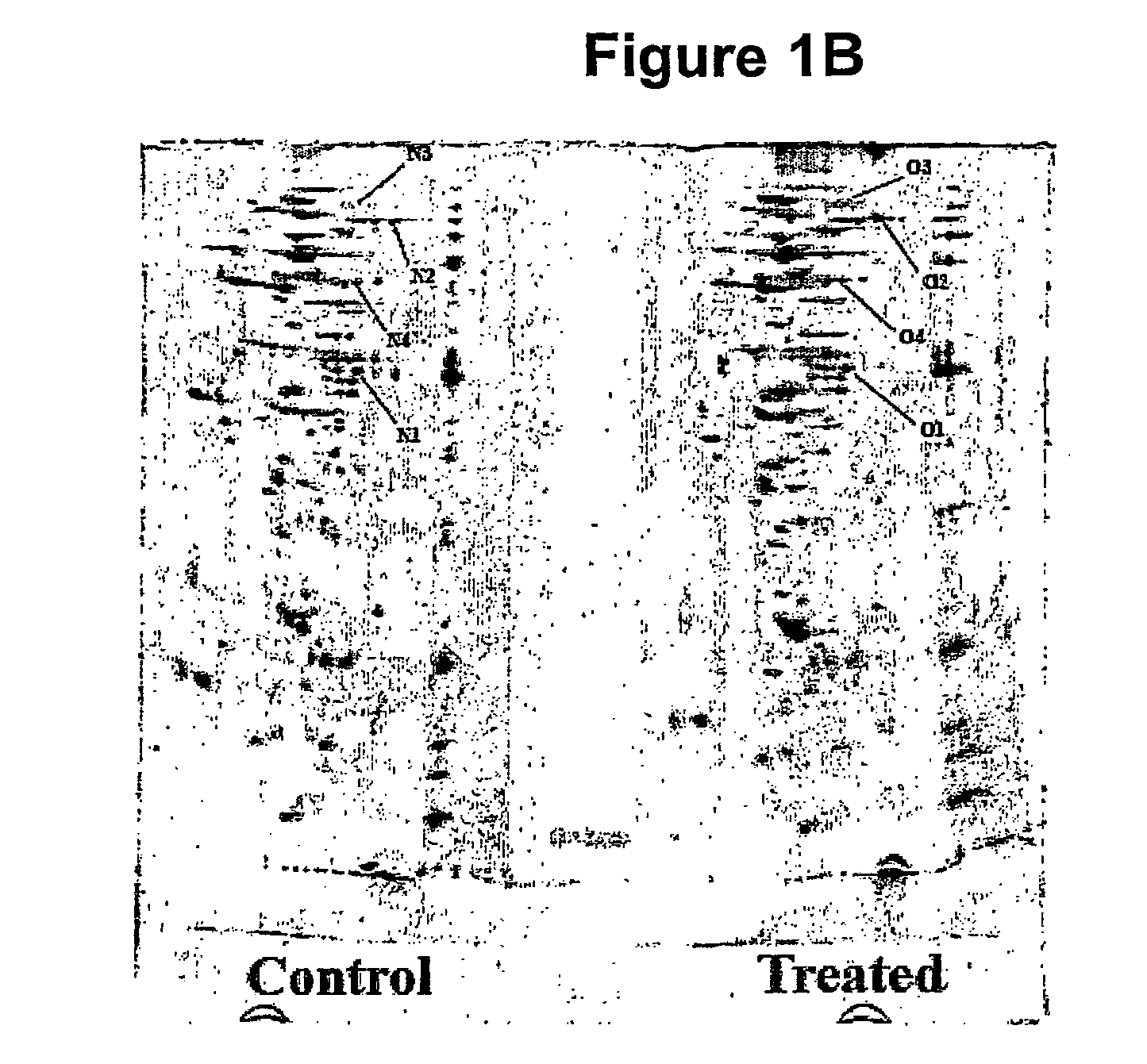 Methods for determining the redox status of proteins