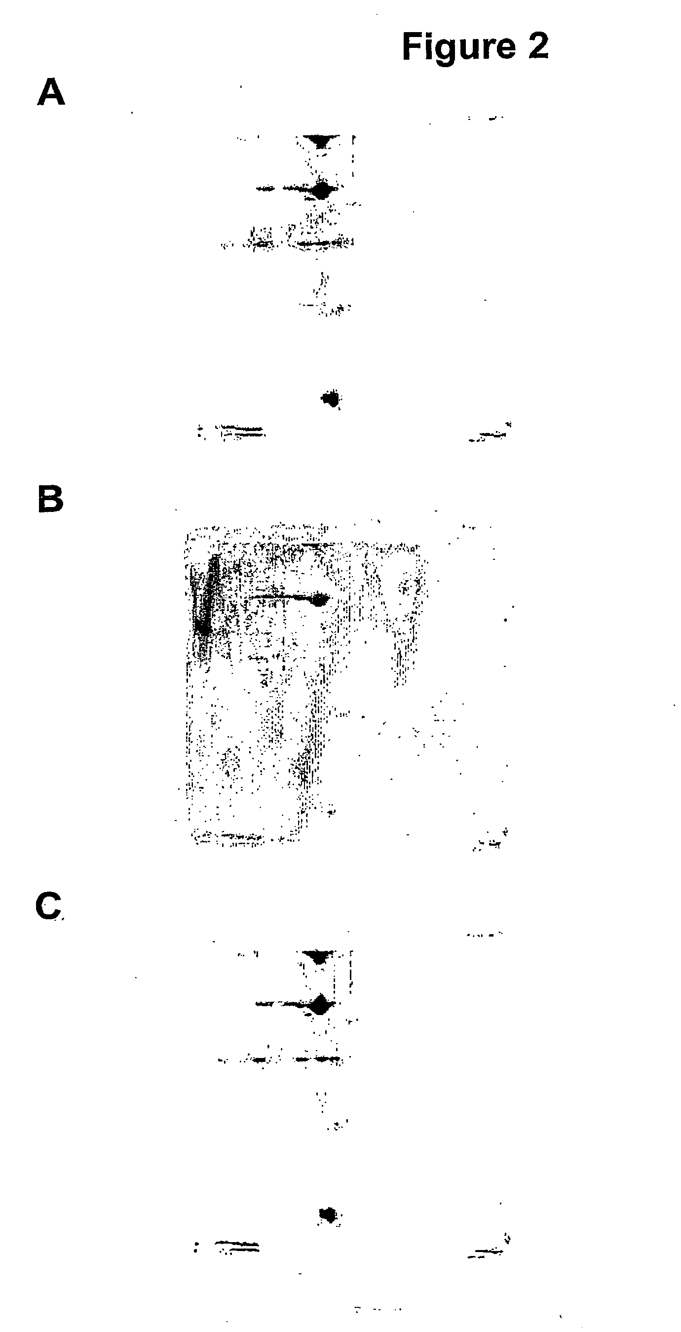 Methods for determining the redox status of proteins