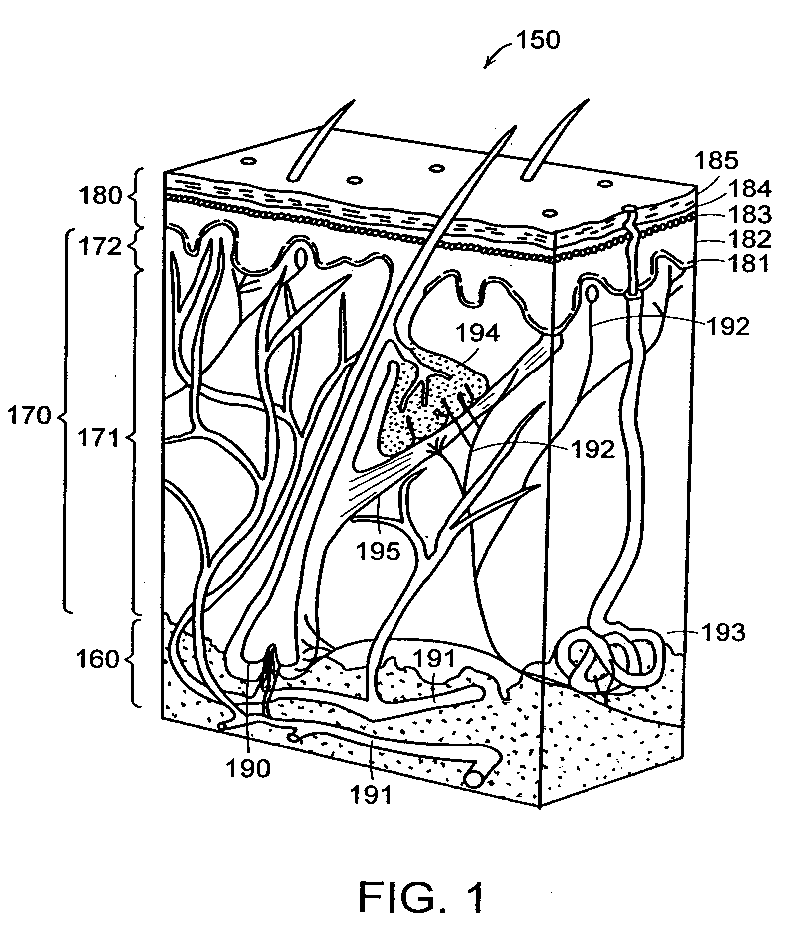 Methods and products for producing lattices of EMR-treated islets in tissues, and uses therefor