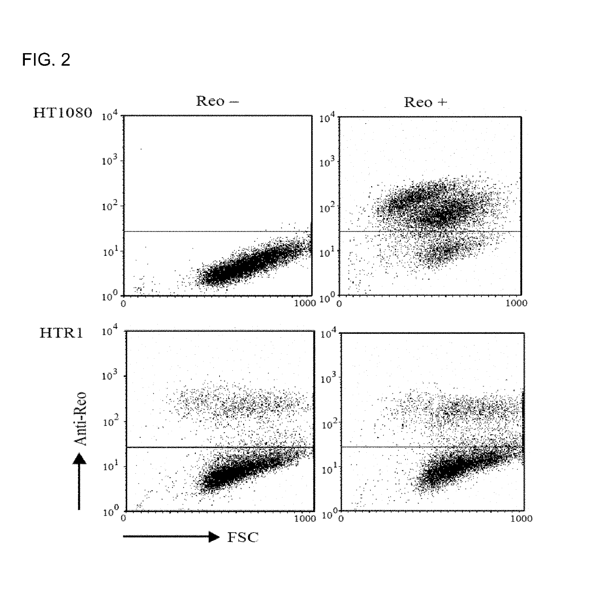 Attenuated reovirus