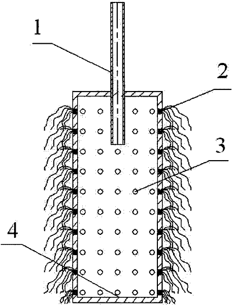 A kind of reactor and method for removing nitrate in water