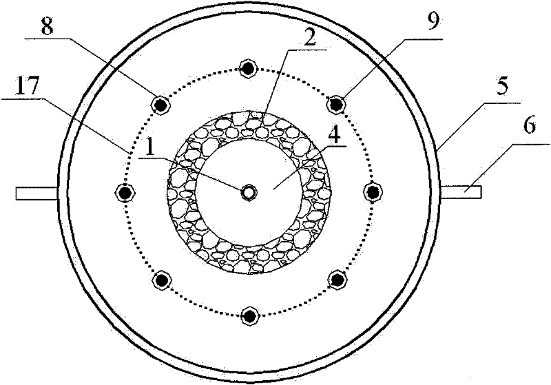 A kind of reactor and method for removing nitrate in water