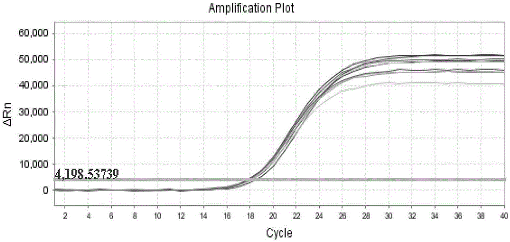 Preparation and application of coliphage MS2 internal standard quality control product and kit