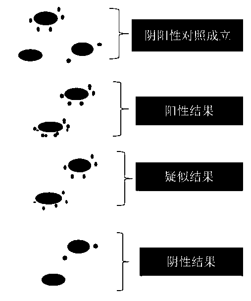 FISH probe groups for detecting novel coronavirus SARS-CoV-2 and preparation method and application thereof