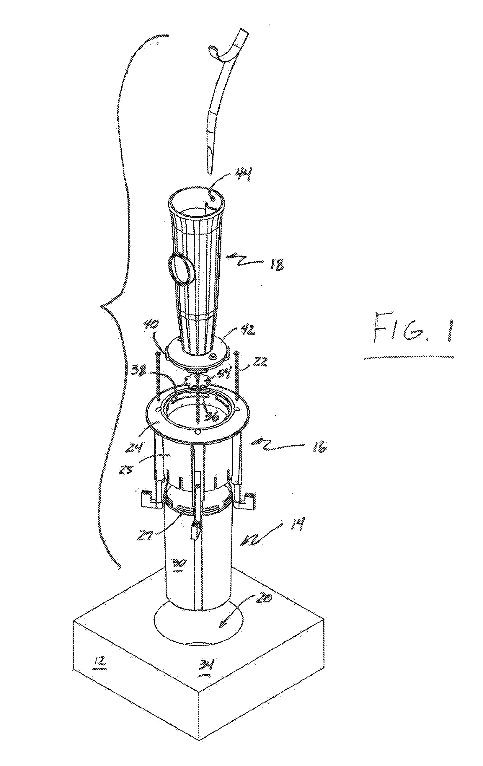 Mount for decorative element