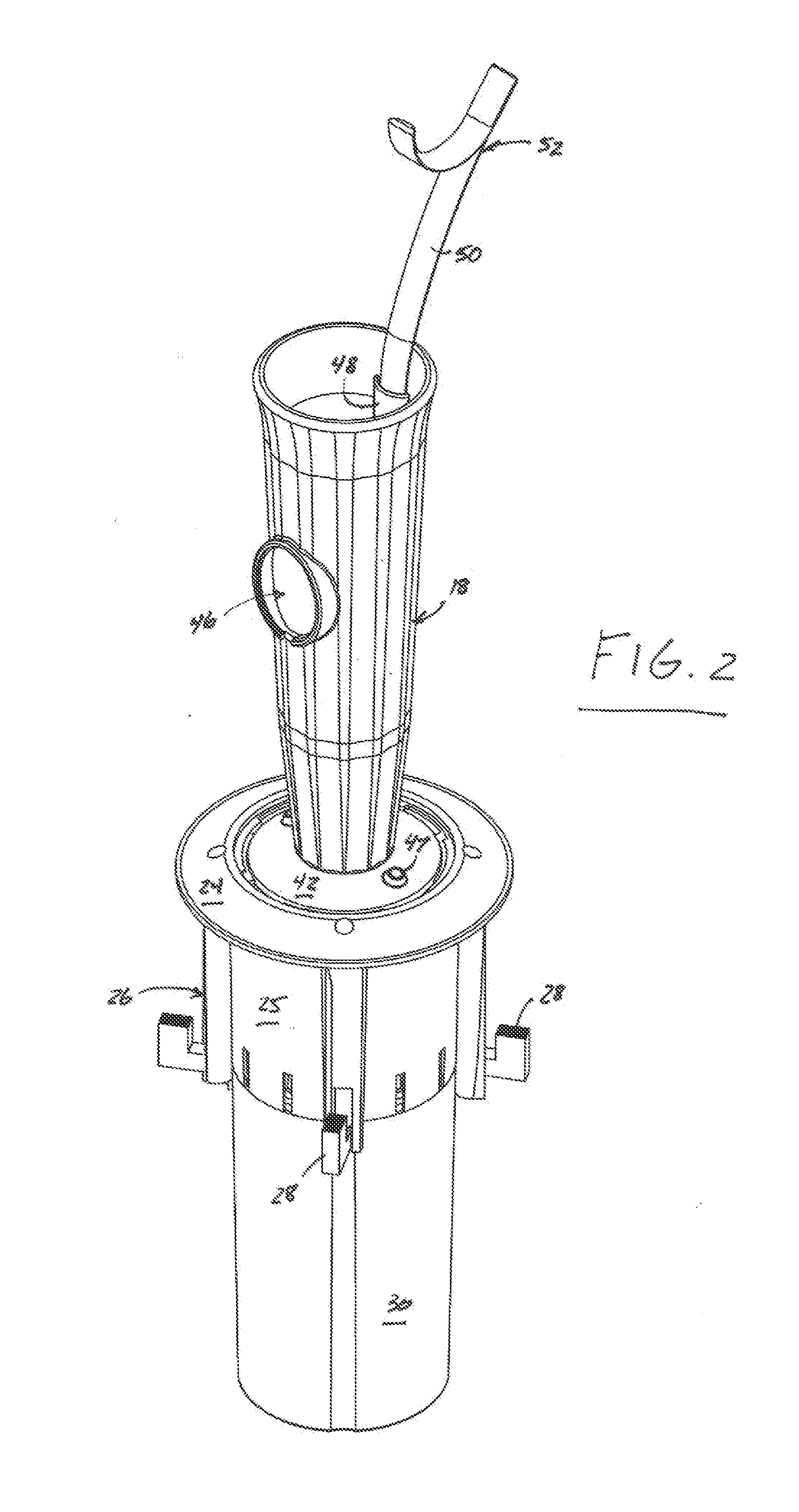 Mount for decorative element