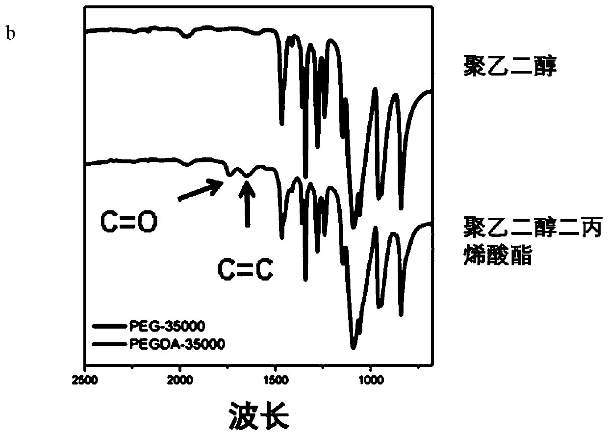 High-extension, high-adhesion and high-self-healing double network hydrogel and preparation method and application thereof