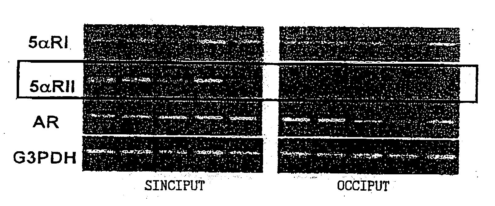 Hair tonics and method of screening the same