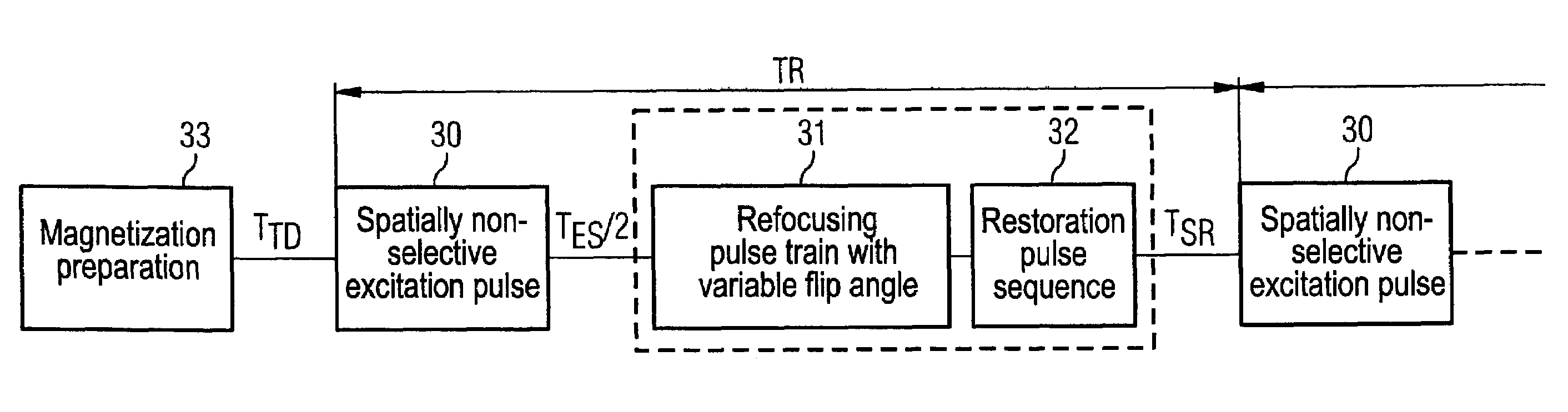 Turbospin echo imaging sequence with long echo trains and optimized T1 contrast