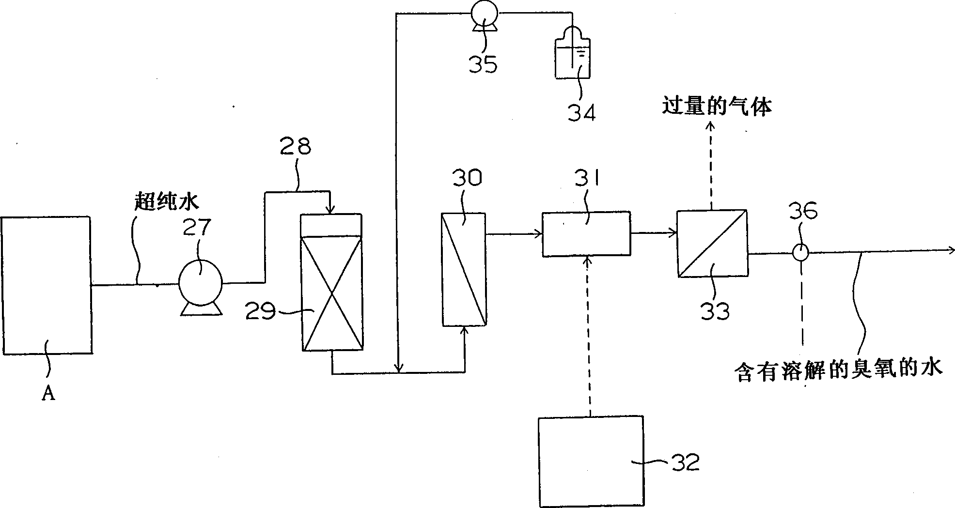 Apparatus for producing water containing dissolved ozone