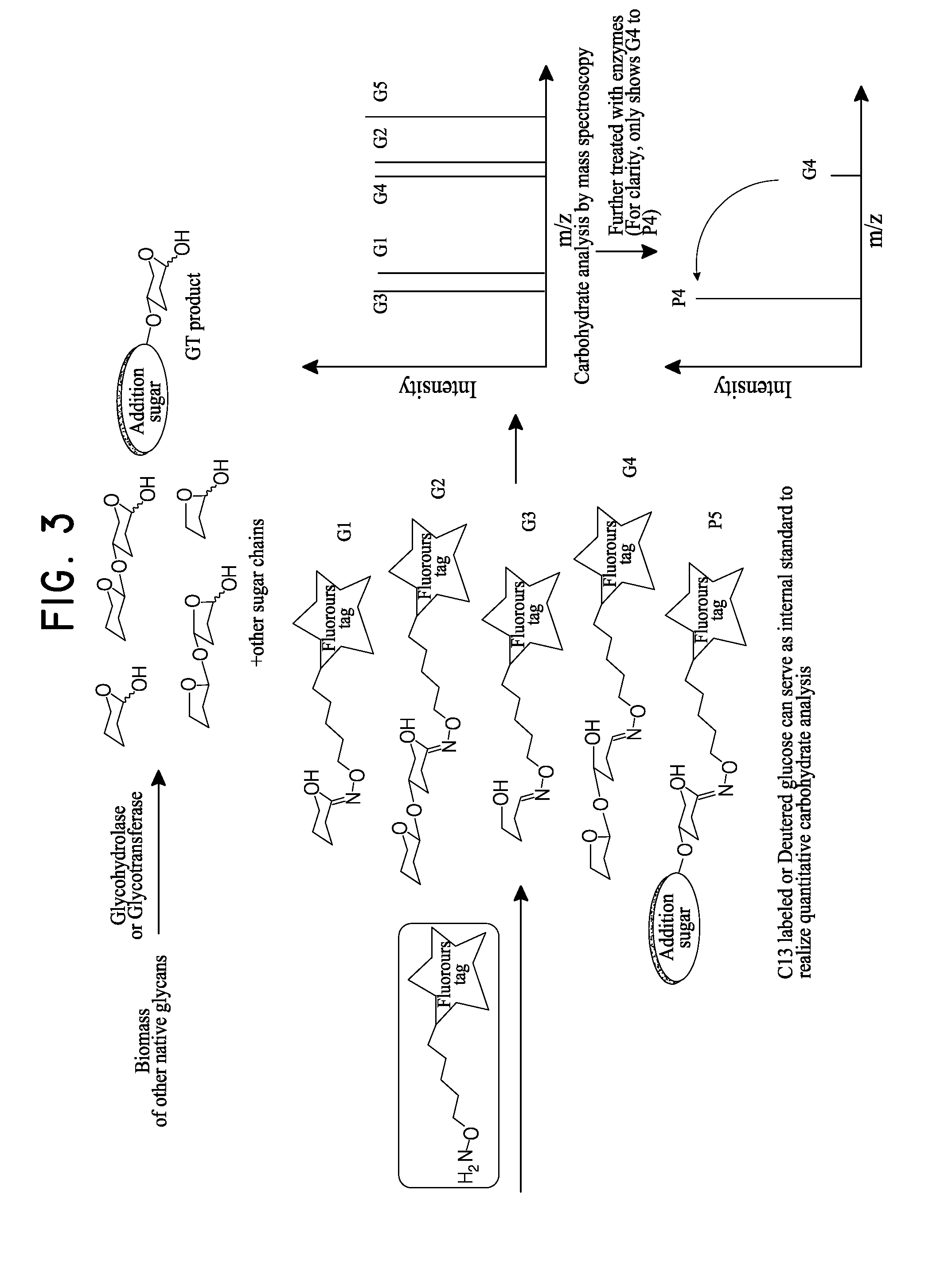 Rapid discovery and screening of enzyme activity using mass spectrometry