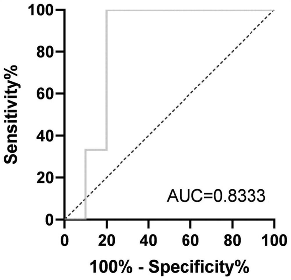 MiRNA molecule miR-206 for regulating and controlling uterine muscle contraction and application of miRNA molecule miR-206