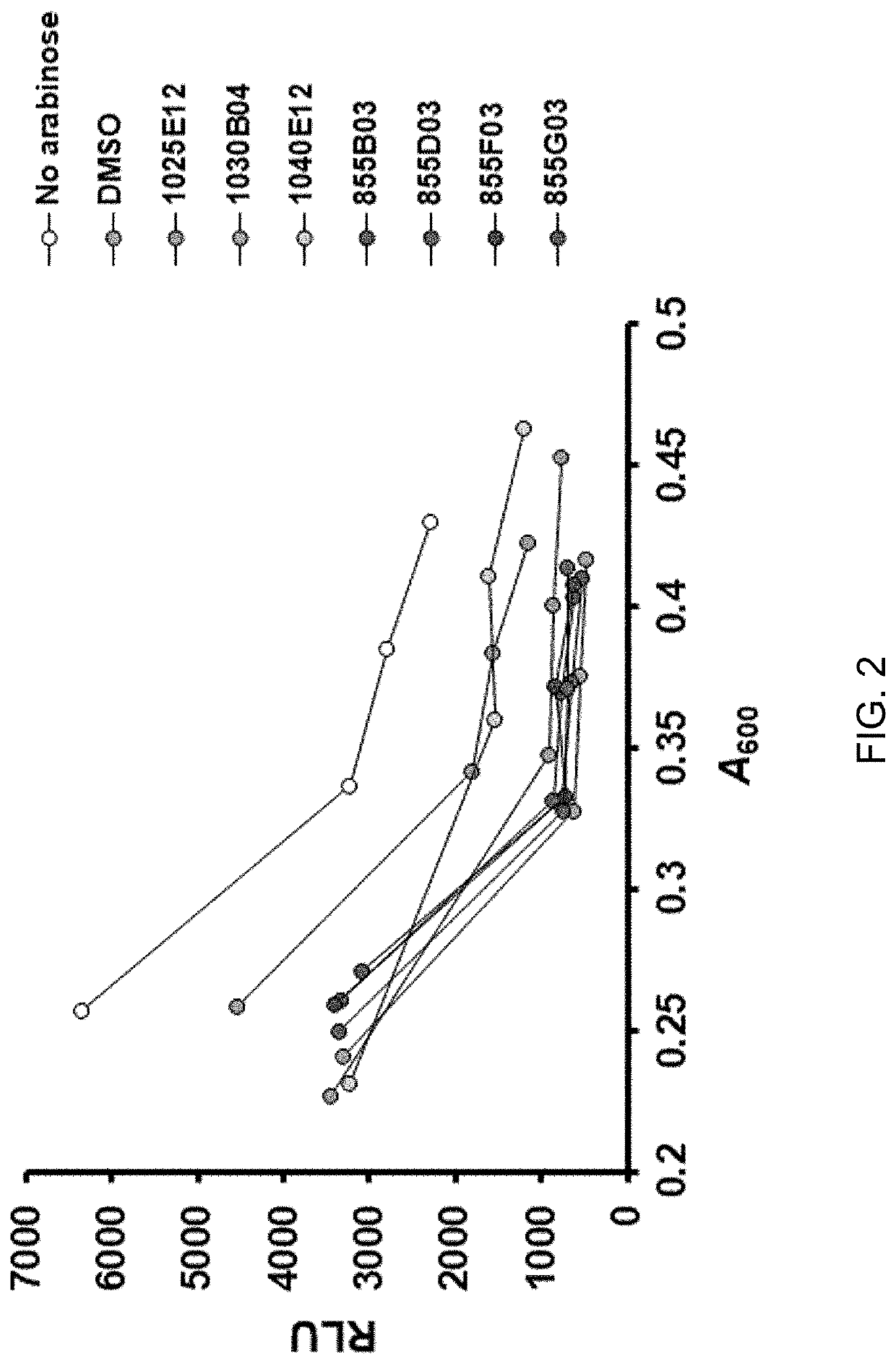 Rtx toxin production inhibitor and composition for treating symptom of vibrio infection by using same