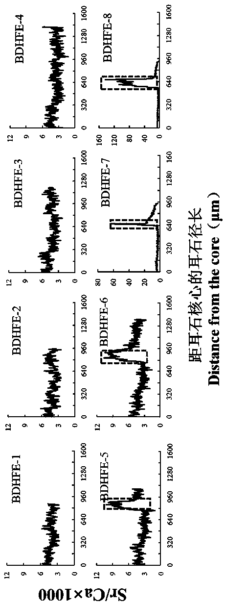 A method for labeling otolith elements of flounder fish