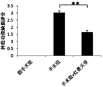 Application of salidroside in preparation of medicine for treating stroke