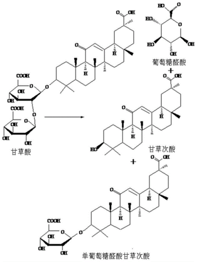 Preparation method of glycyrrhetinic acid monoglucuronide