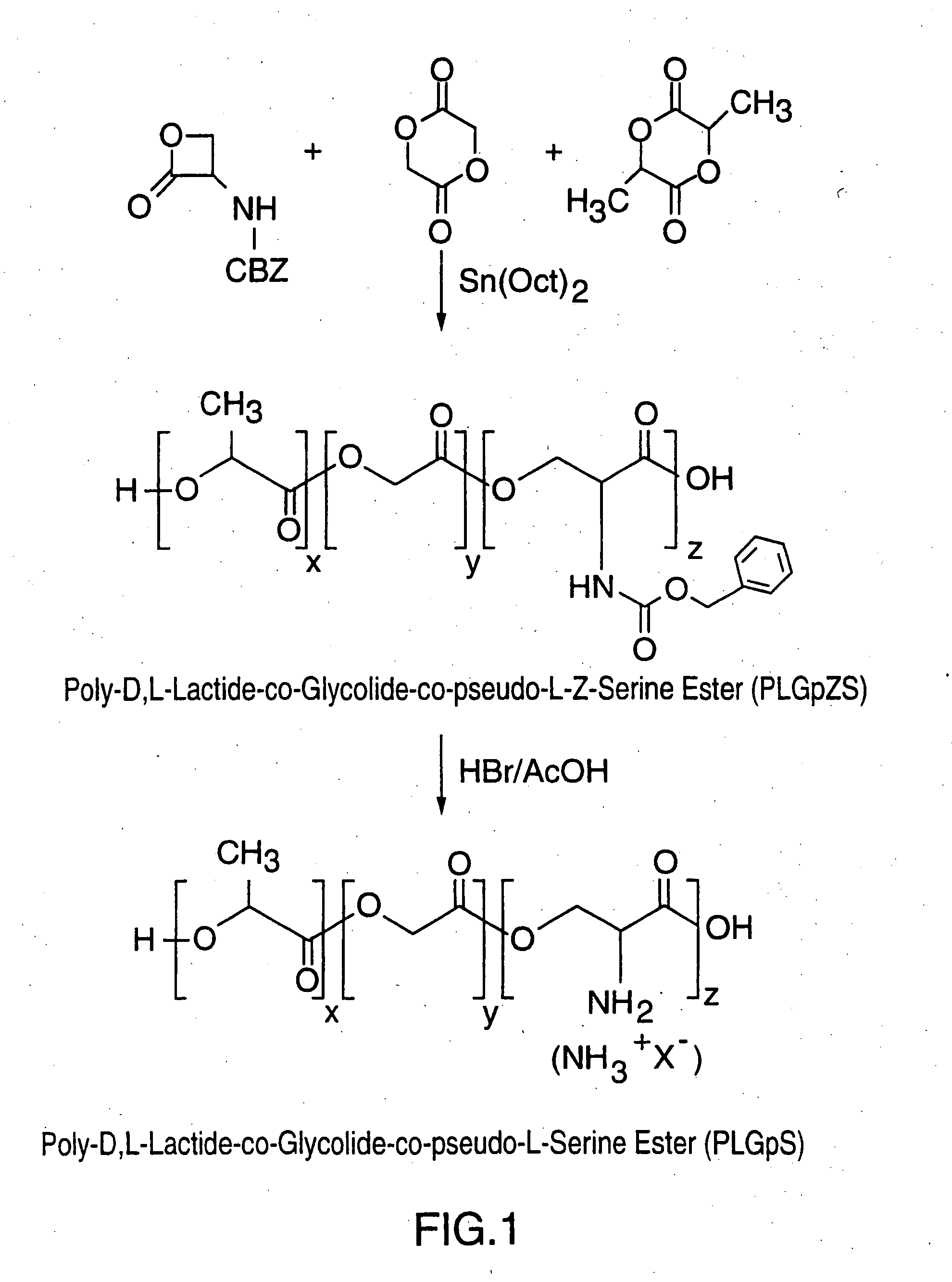 Biodegradable targetable microparticle delivery system