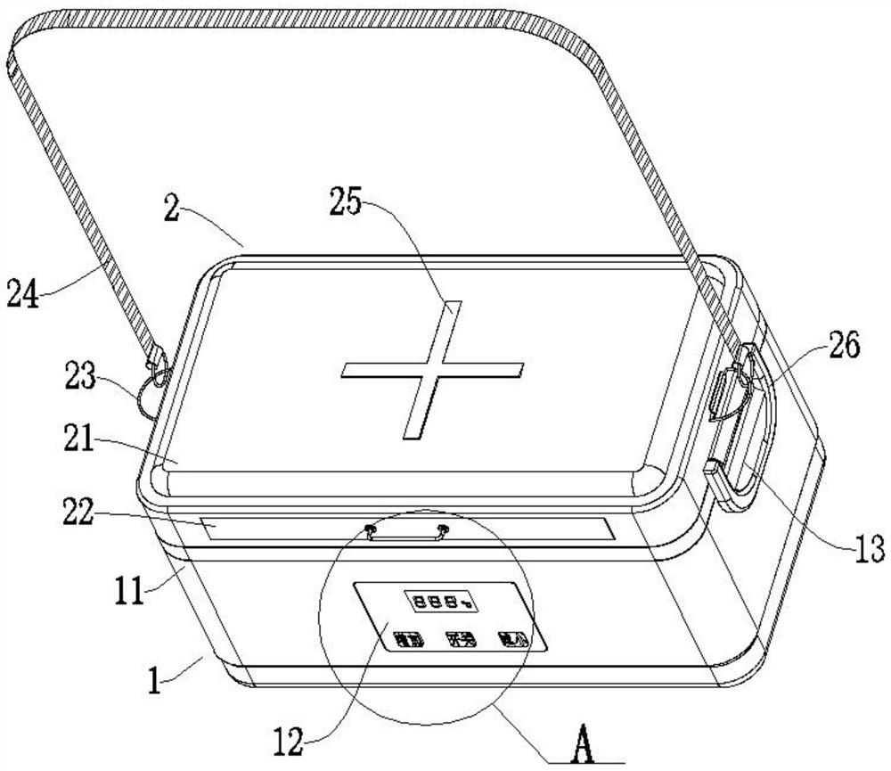 Portable disinfection box for medical examination