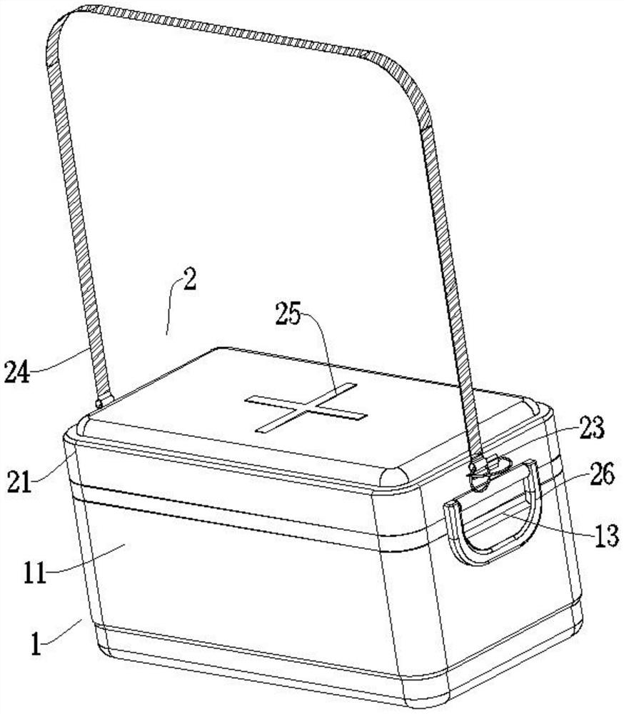 Portable disinfection box for medical examination